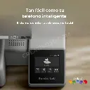 175.webp
