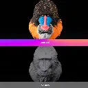 AMS-COLOR-PRINTING.webp