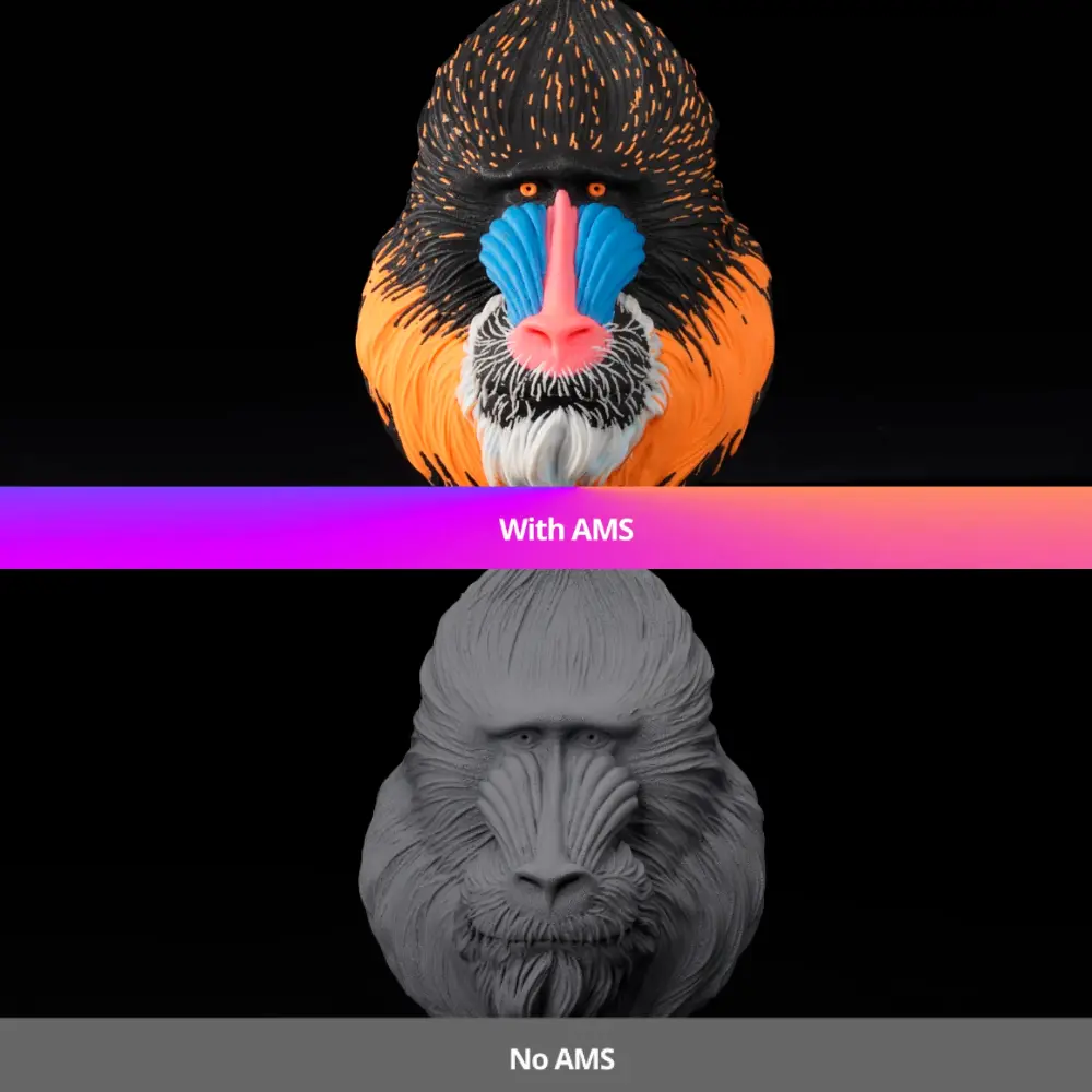 AMS-COLOR-PRINTING.webp